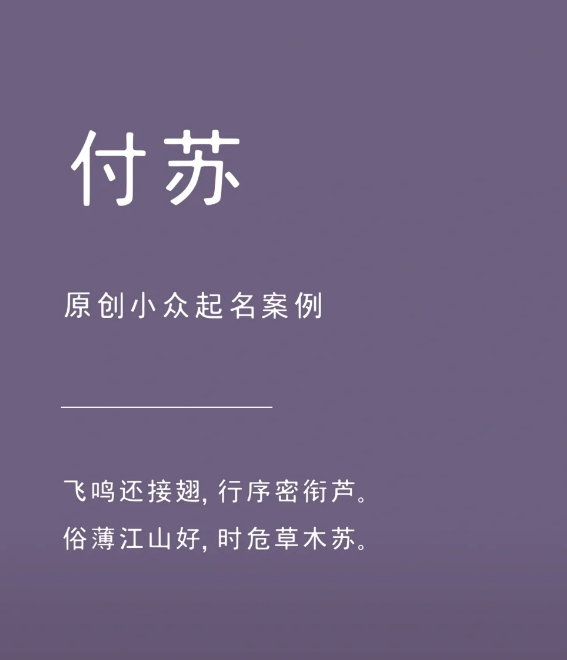 姓付的男孩叫什么名字好：“付苏”新生与萌动跃然纸上的单字名字